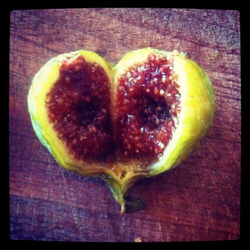 photo-8