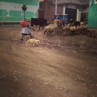 image-5