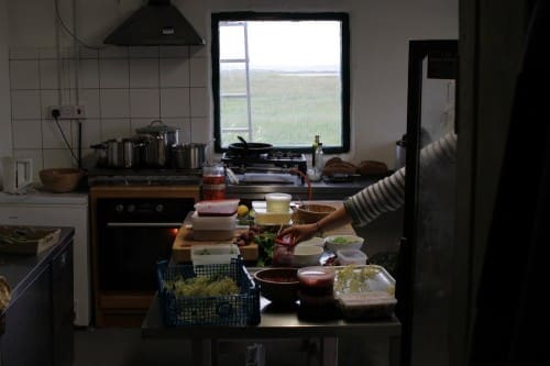 IMG_9531