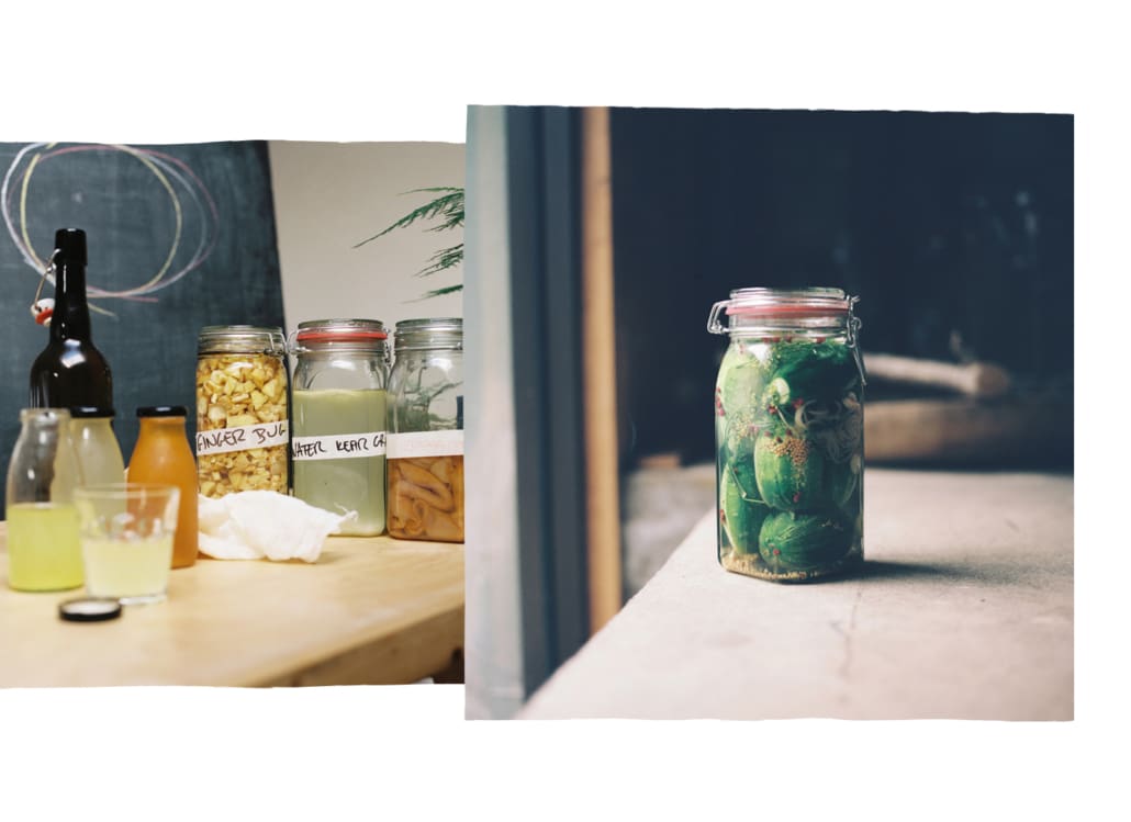 Ferments-Mobile